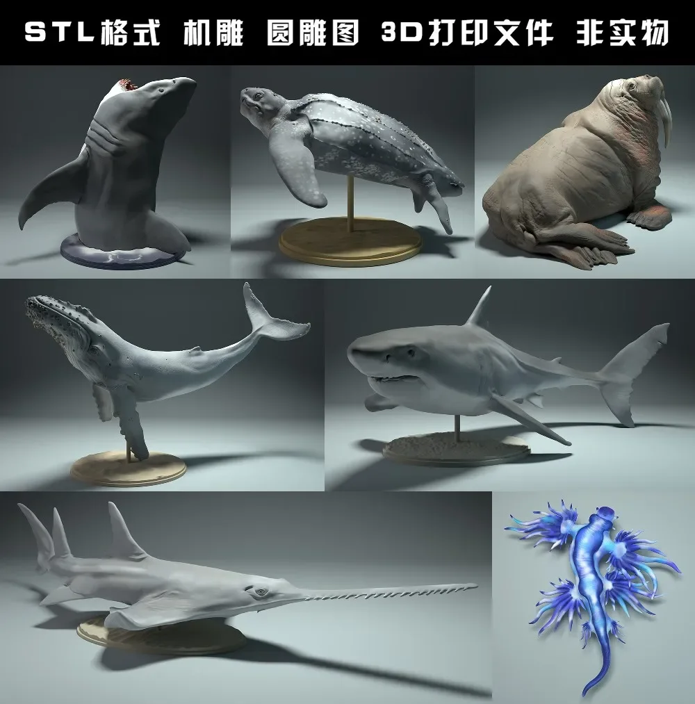 3D Printing Rabbit - สัตว์, หมีขั้วโลก, Takin, หมาป่า, กระทิง, คุ้ยเขี่ย,