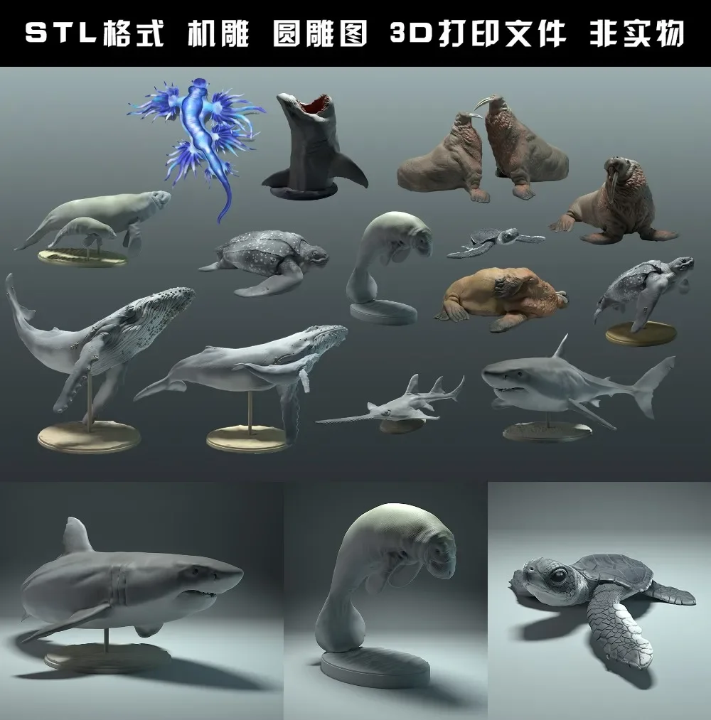 สัตว์, หมีขั้วโลก, Takin, หมาป - 3D Printing Rabbit บทวิจารณ์และราคา