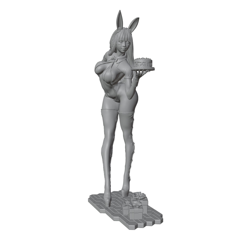 โมเดลตัวละครสาวน้อยน่ารักธีมปา - 3D Printing Rabbit บทวิจารณ์และราคา